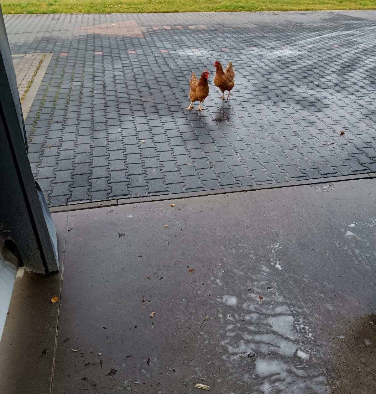 cbd557b0-3d79-4a72-b1bb-1a61c245e9f6