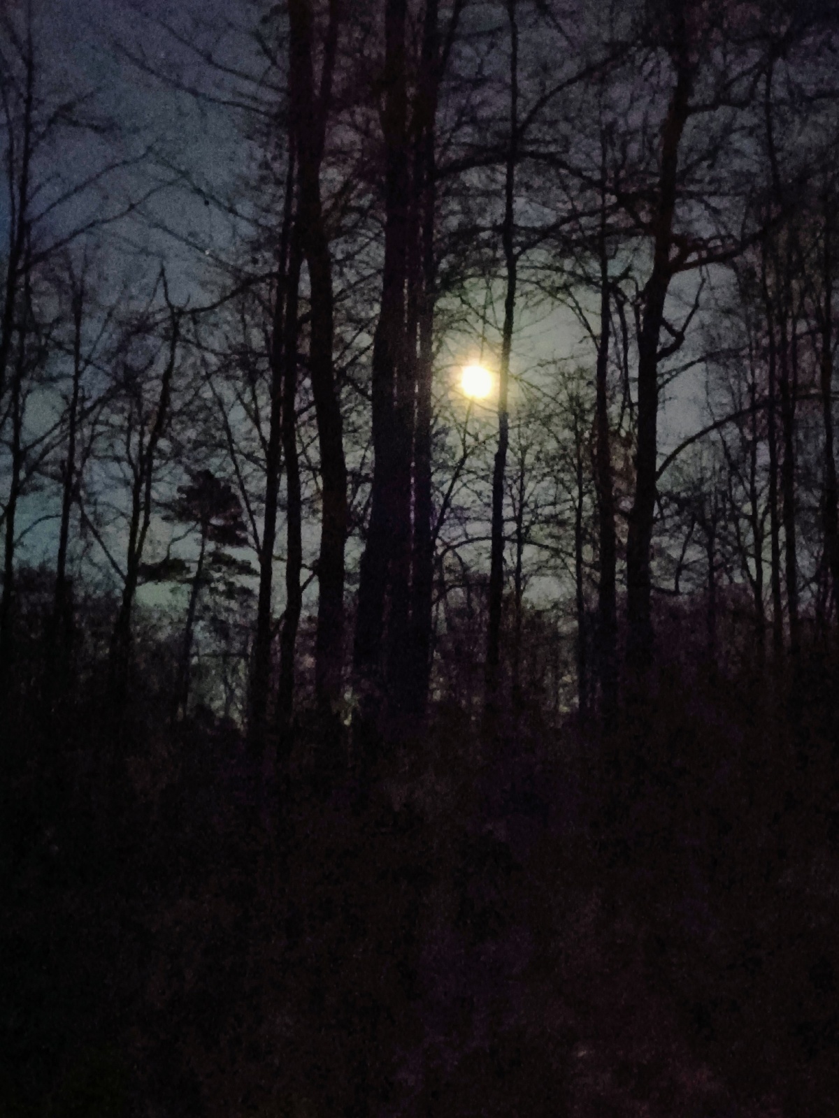 a561ce98-1e4f-4d2c-953c-1a0360723b32