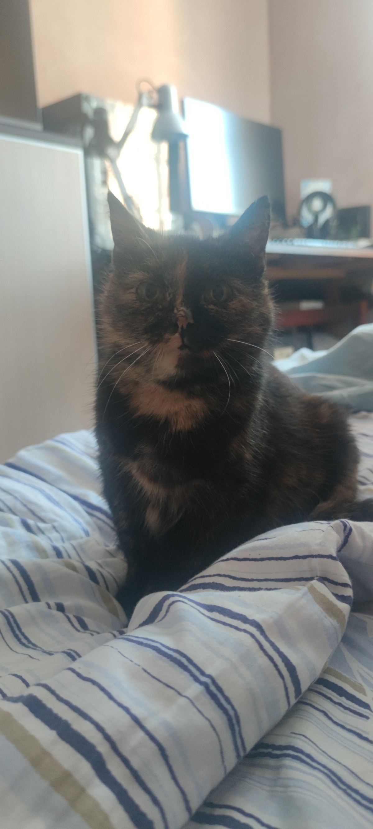 25f25d7c-df7b-486b-8f99-bae7c25103b7