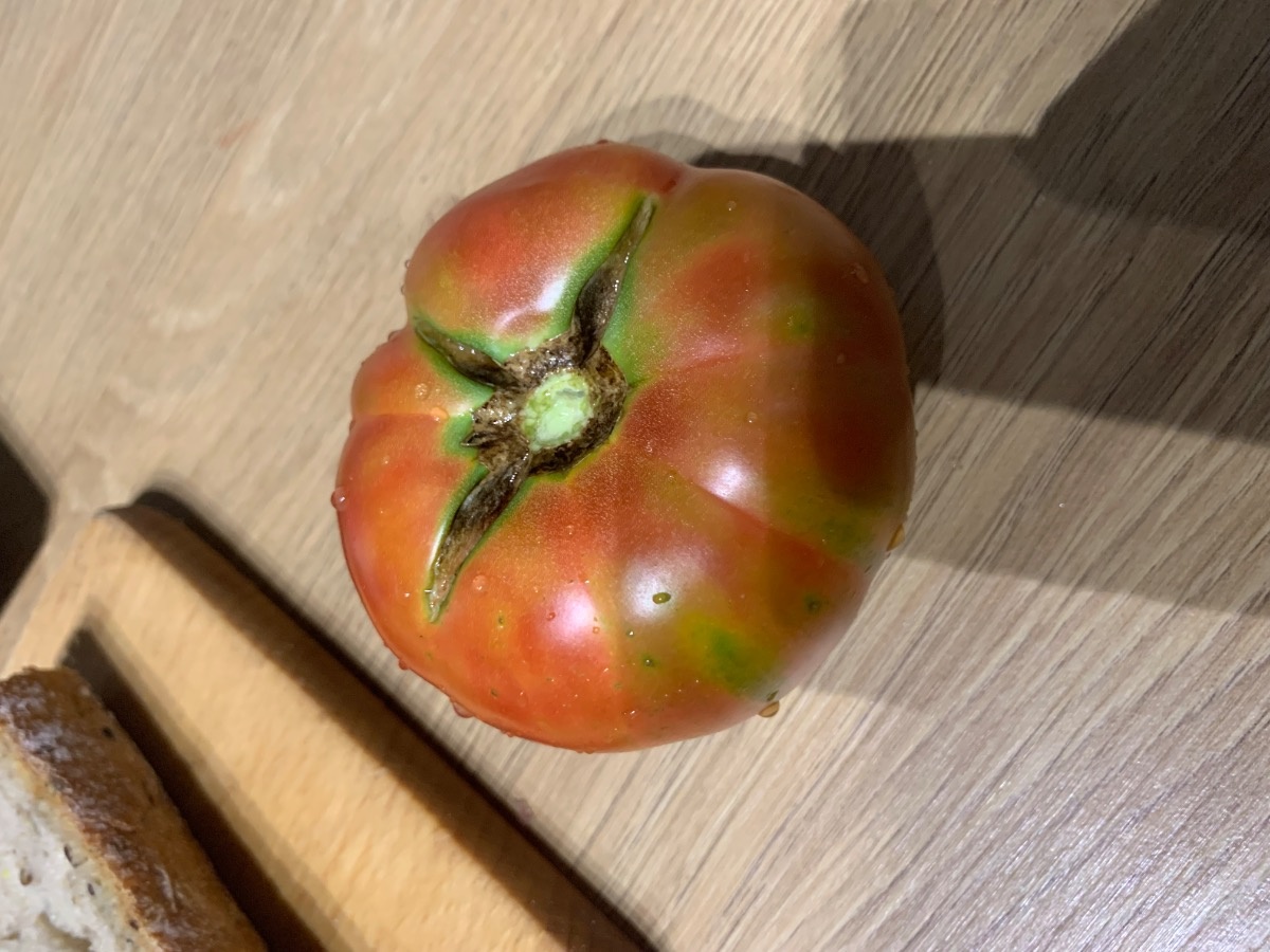 7d086979-8b9f-4691-88e1-32ef58c53cbe