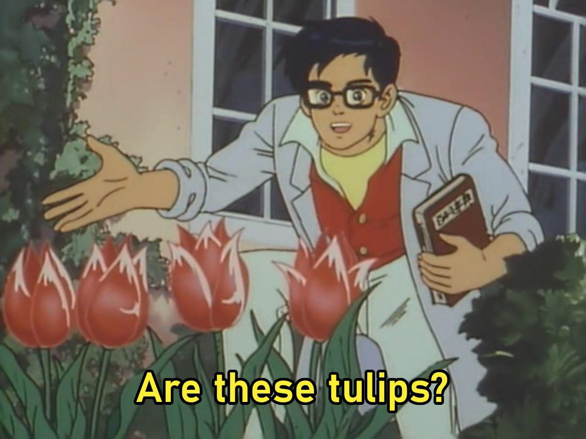 d1b3a68e-cefd-40d8-8cd3-84cf73193ac1