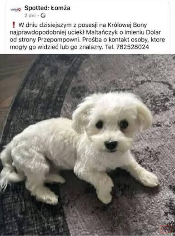 302c525d-13a8-49ba-846c-f03a7b6a472e