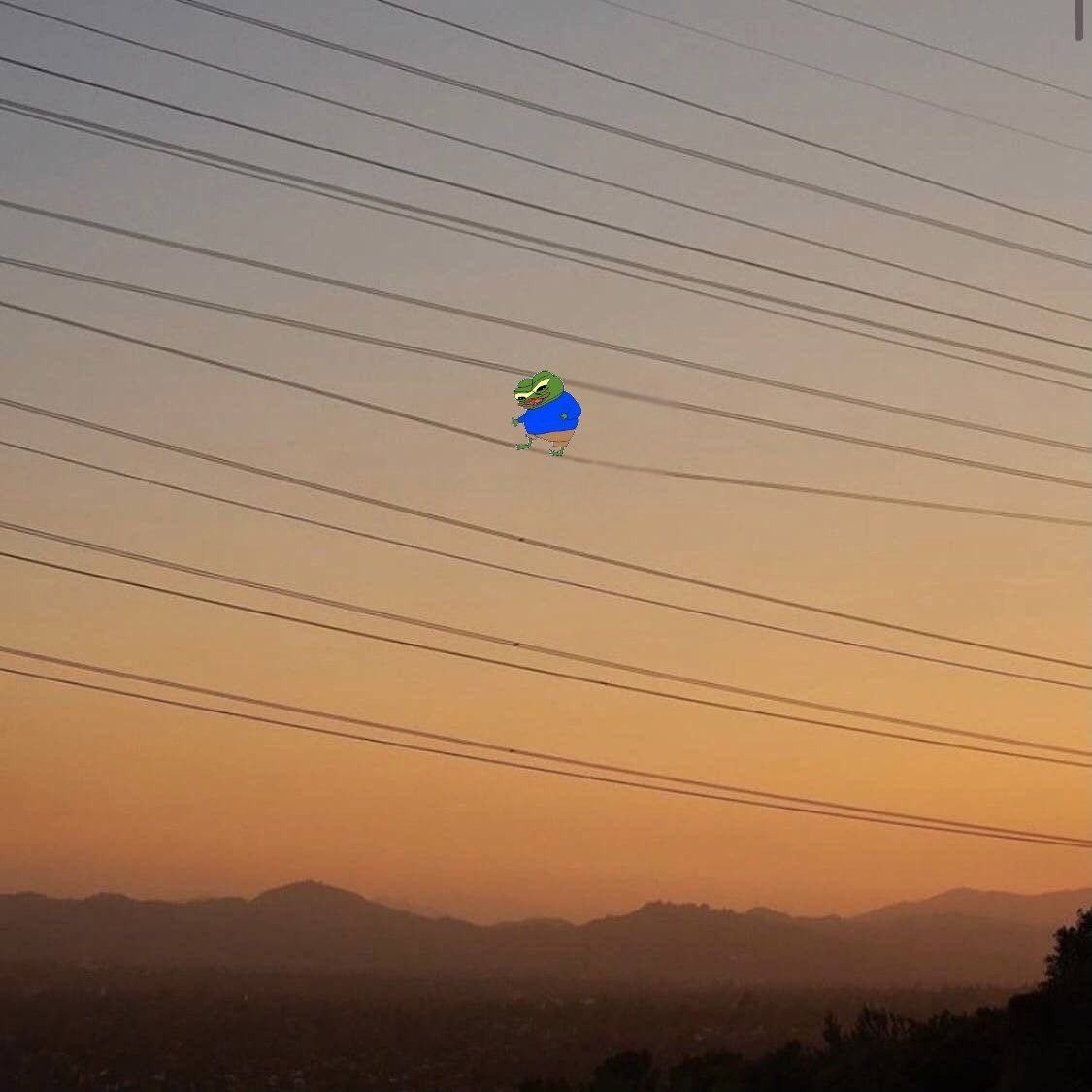 47482f81-905f-4306-90e7-6d71a35662a5