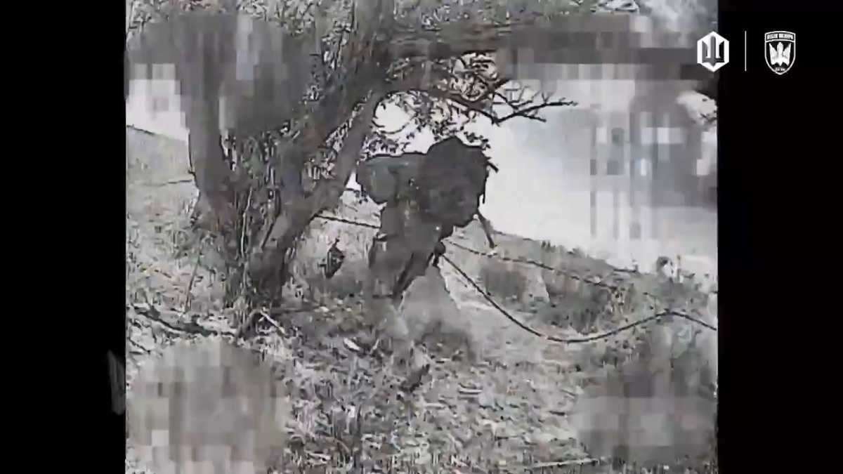 def1cb79-e109-4a21-8b72-ae24a317ccab