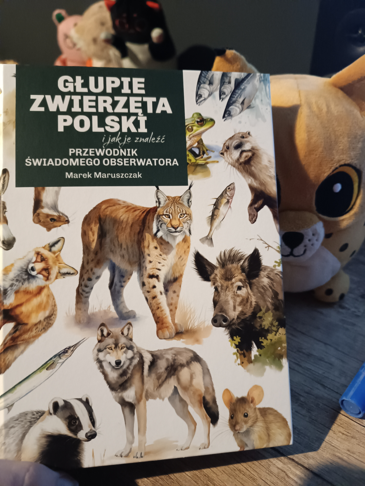 b2d33cb2-45e6-4faa-93bc-f63152302b54