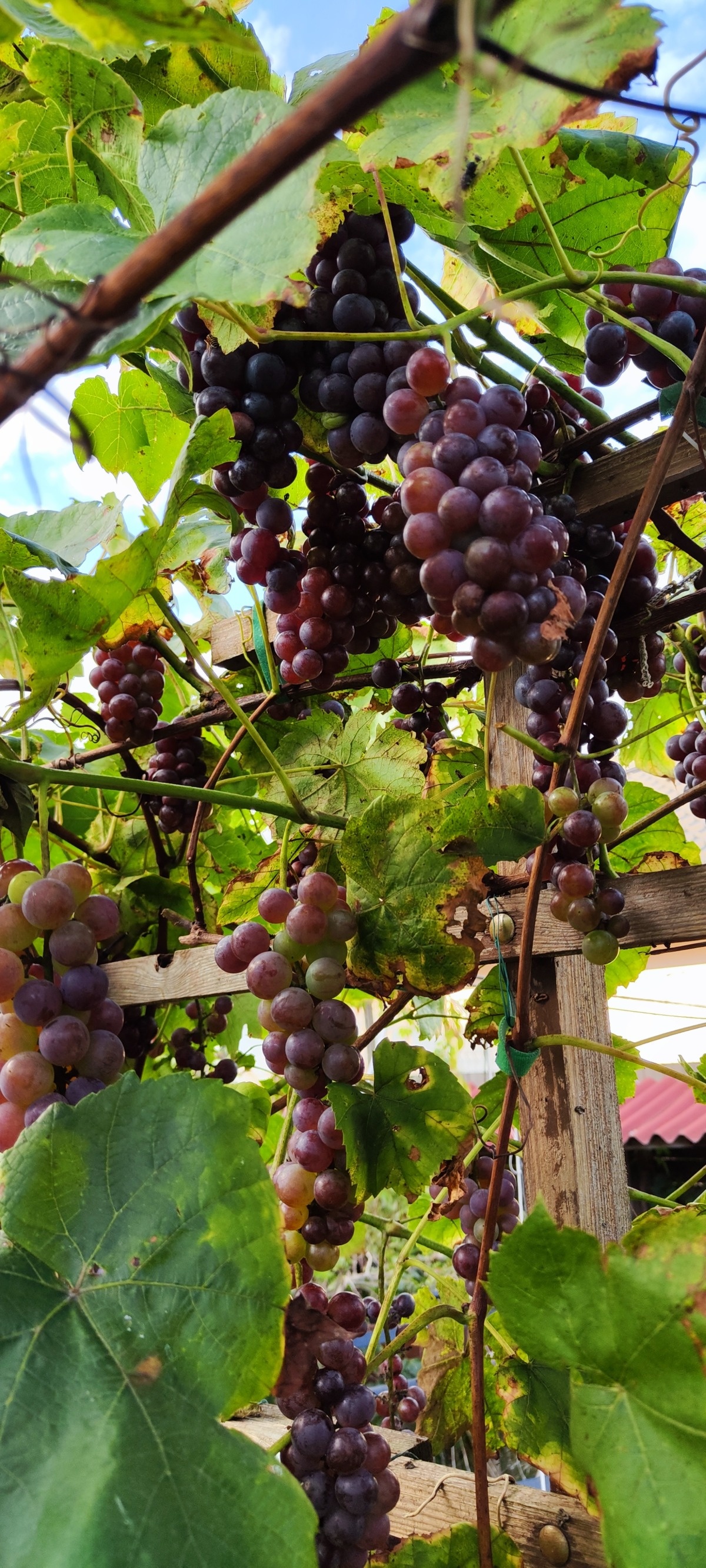 e6bb0cbd-8e8b-469d-bba1-b41dccc42ae2