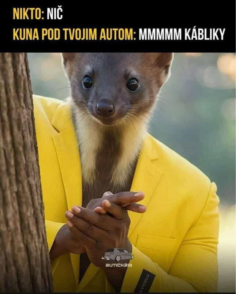 3230b92e-bce9-406f-9b4e-c2d05b681e01