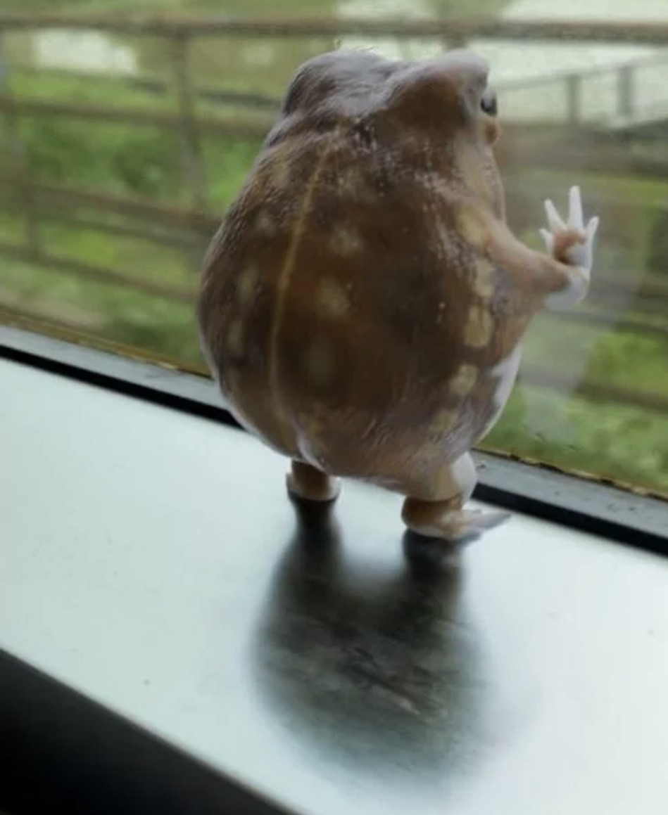 9ff0de44-084f-46a2-88ce-daaa53face4e