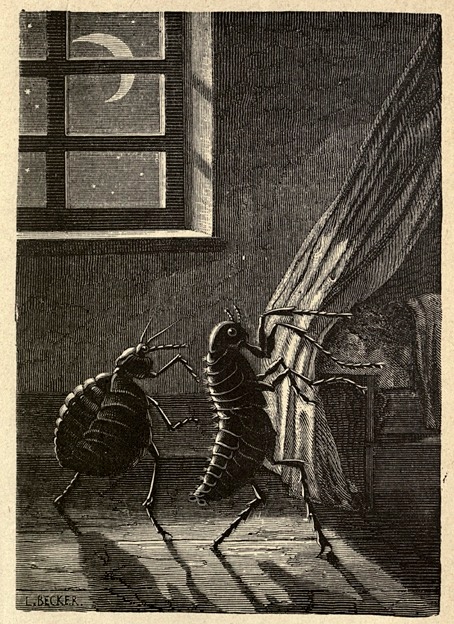 d3a402a9-3bc2-4c06-b891-2e8ac89c2005