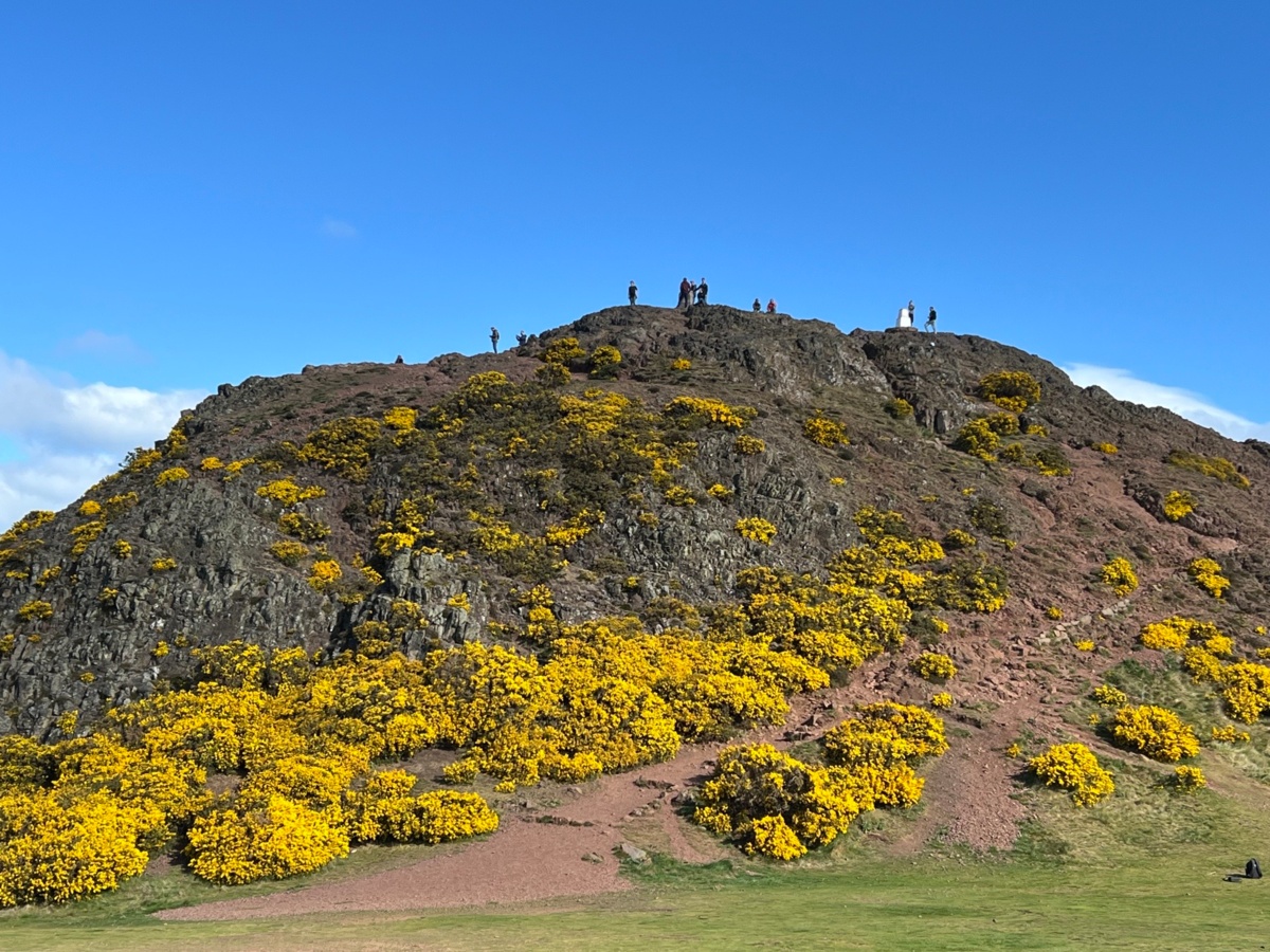 0c09367d-6850-4616-aa5d-730ce245dfe8