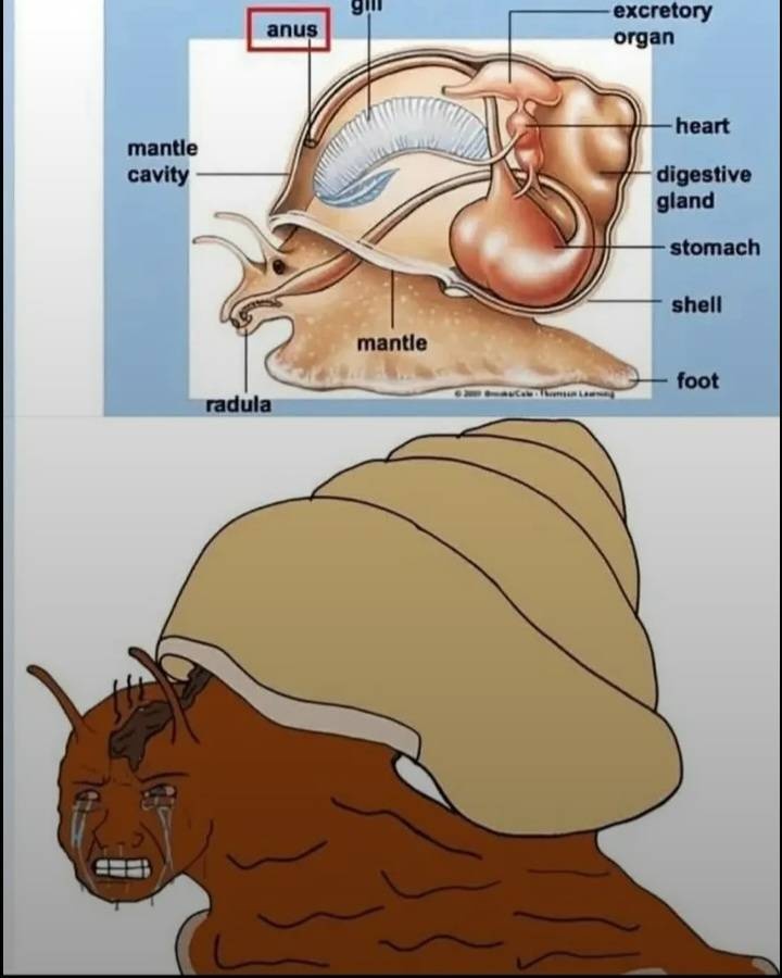 4651326c-3d8a-4976-841f-905f12c4aad4