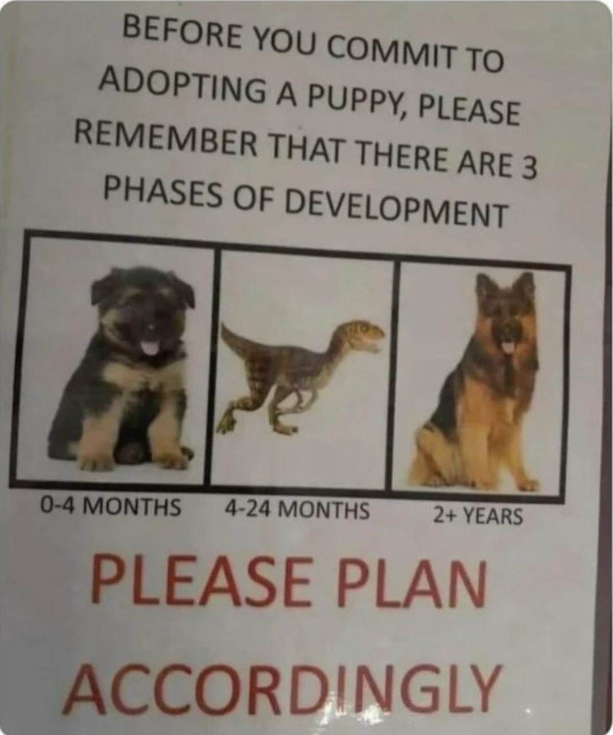 746cfa22-b565-4e46-a899-008b74273e11