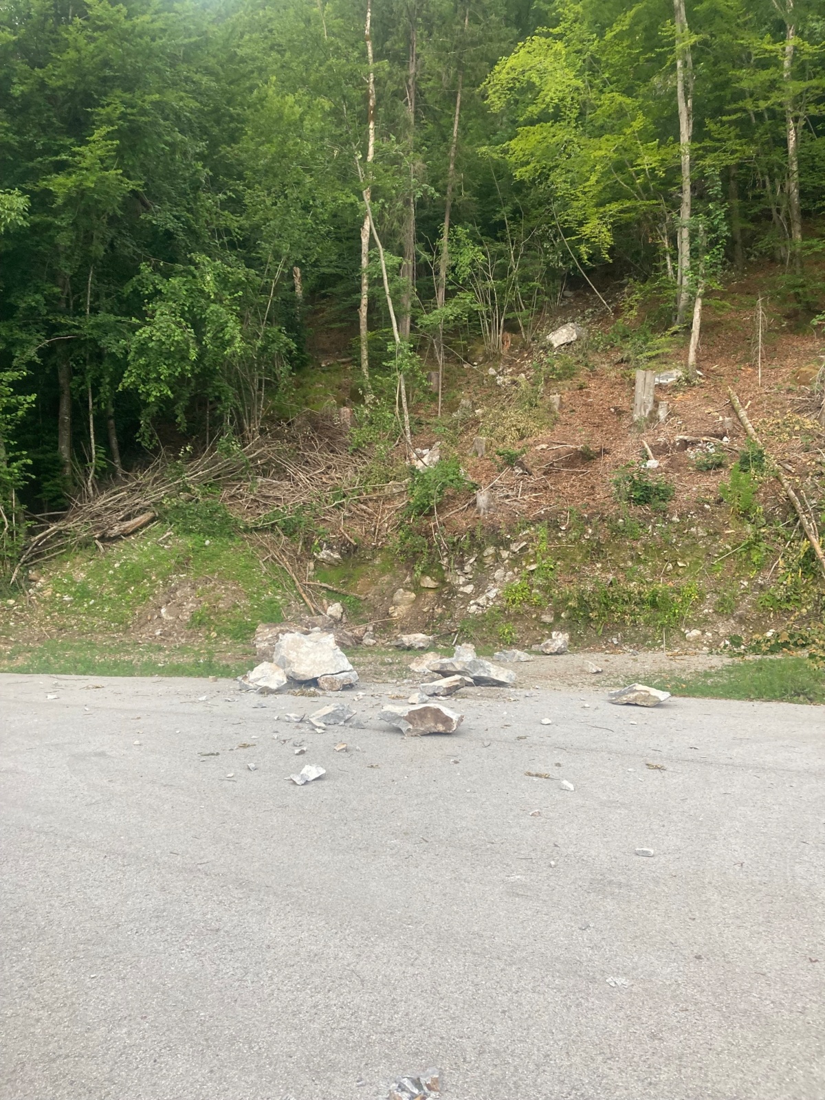 0821cd71-2e14-455d-a0de-7f5341cbde3b