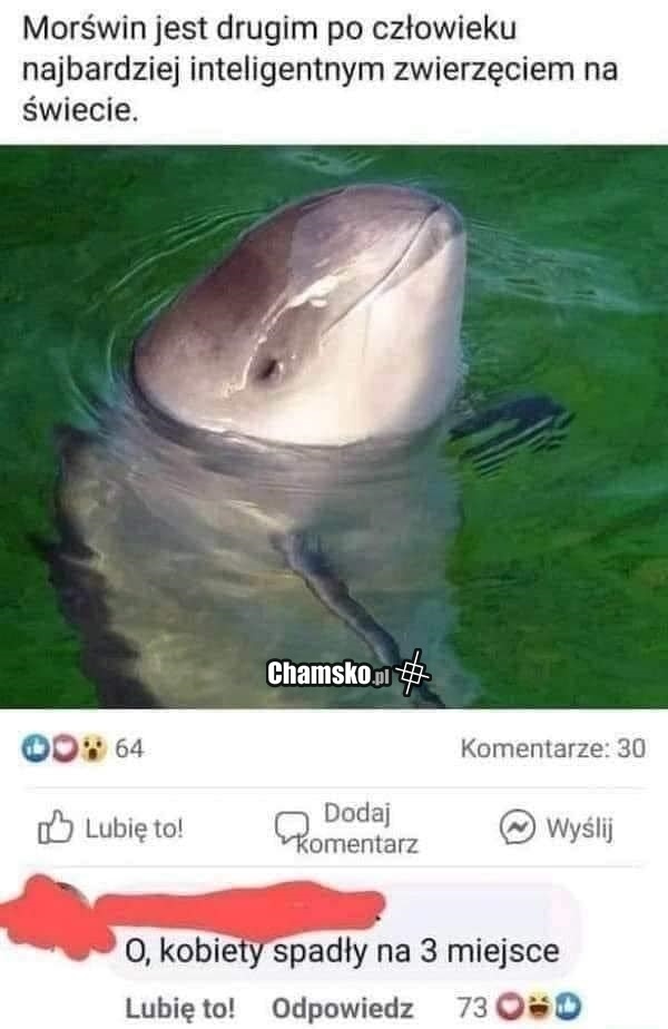 b8b9bc4c-701e-4318-9be8-0ced17d49013