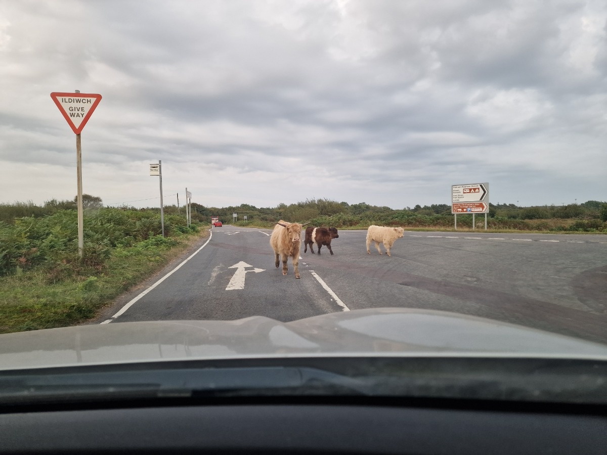 5281f05c-0347-4de8-a5e5-ab840ce04670