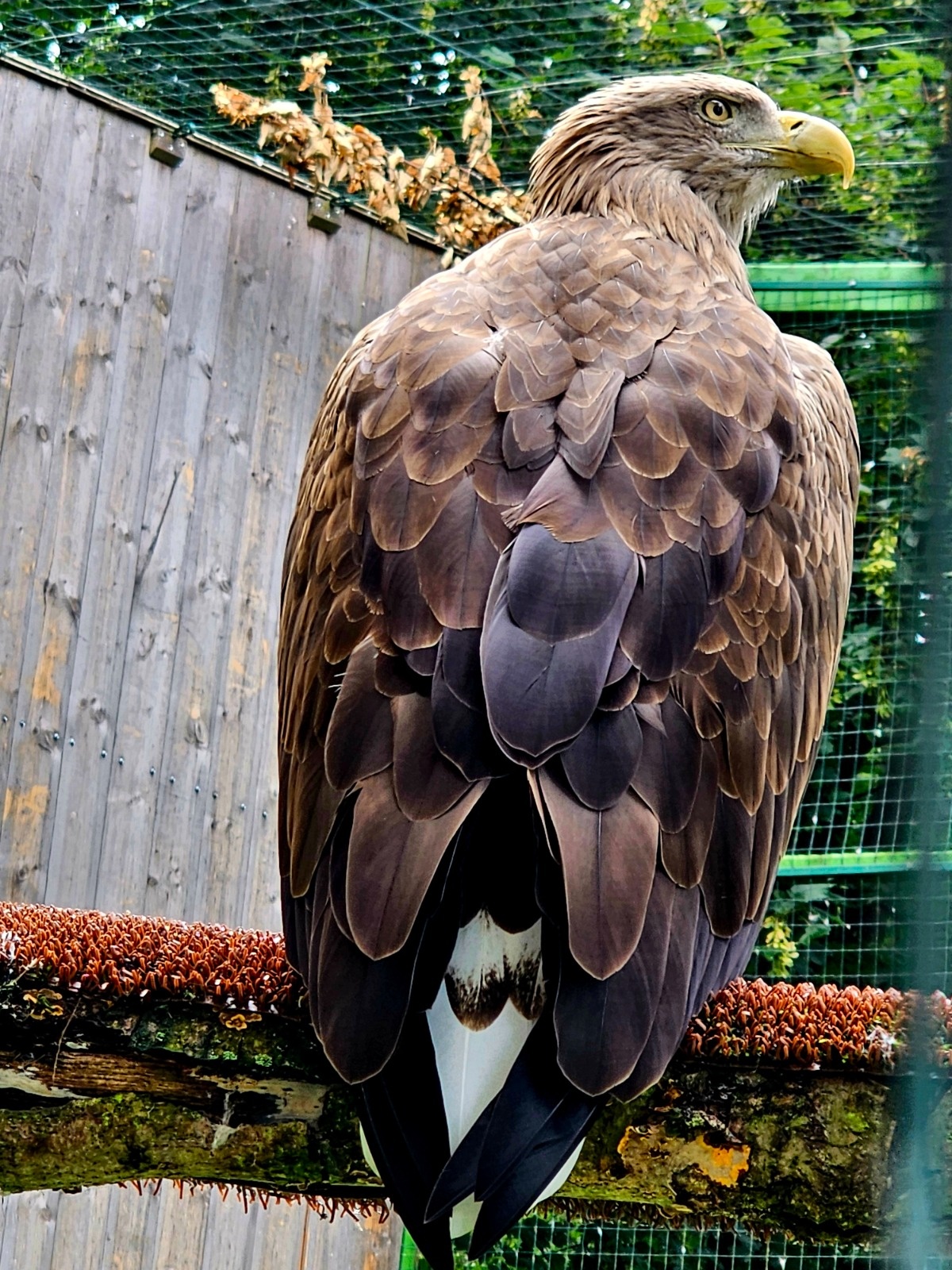 f2b571cd-506c-42e0-b638-77f600a8694c