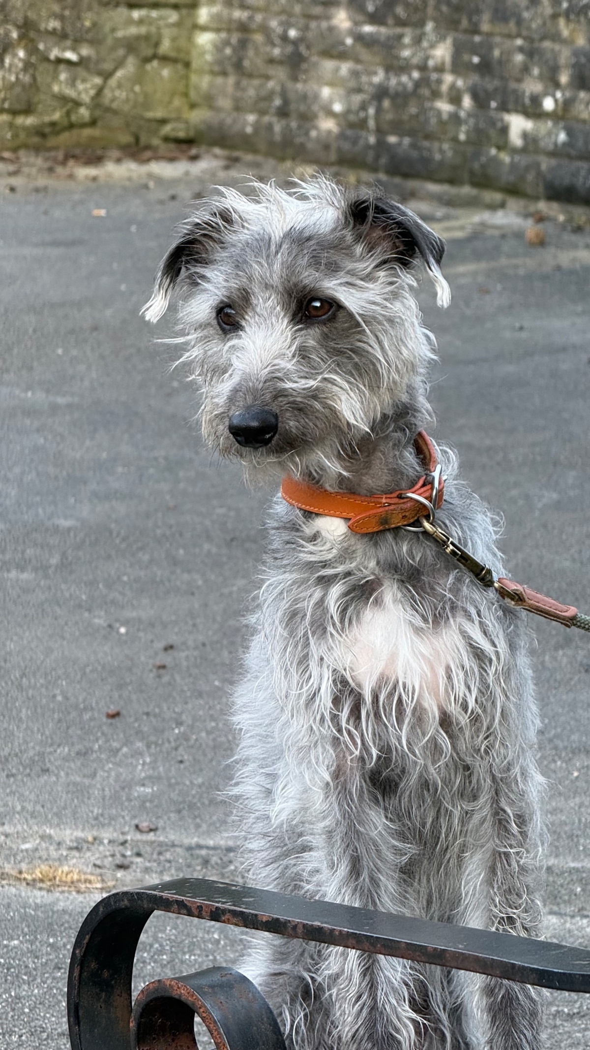 53086cac-75b7-4c58-9c01-9dec43ac6b8e