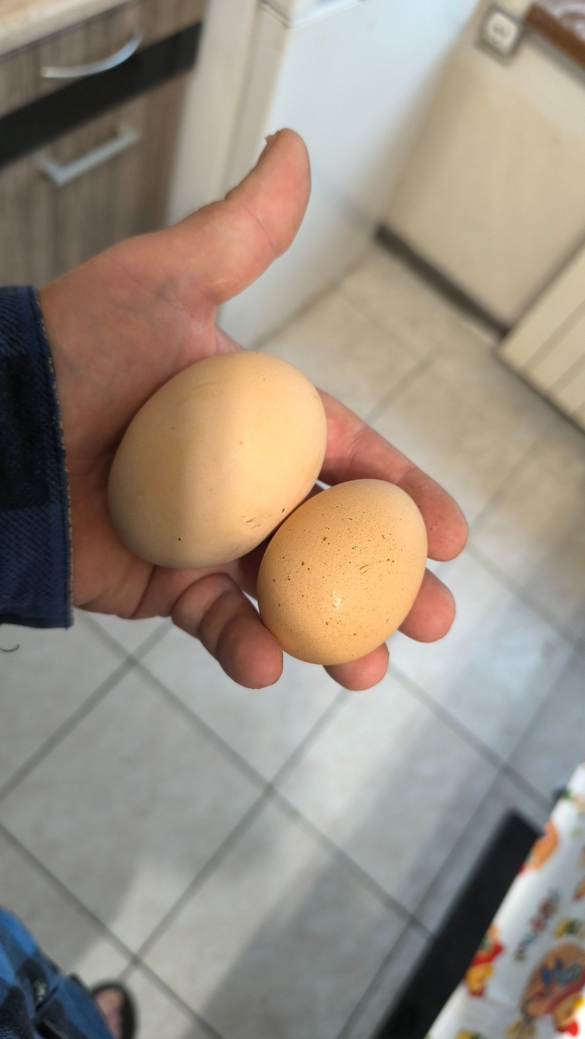 4479c858-fd92-4e2b-988e-2ed1dd809a4f