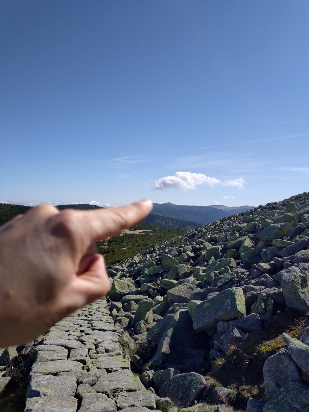 aeec9858-34d6-4231-9c0b-0c553a76f666