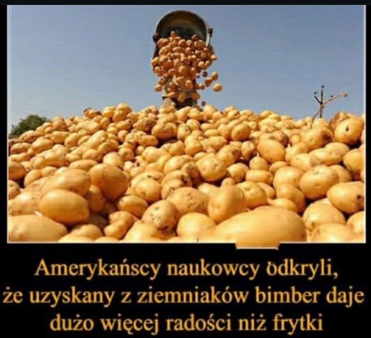 72c91607-386b-440a-adf2-9fd14daa8202