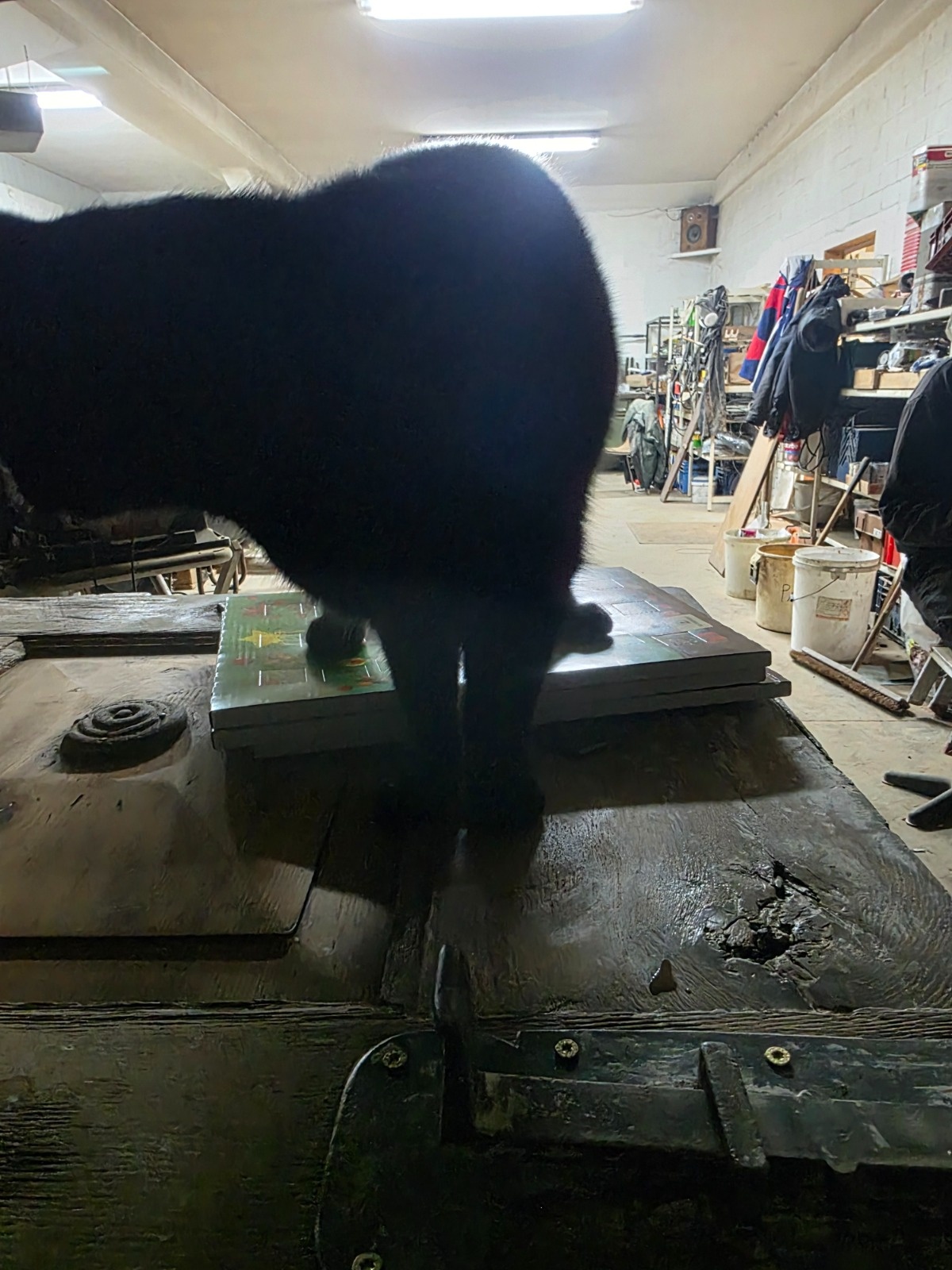 0e48f635-44b5-4648-aa38-2e1d5dbc51eb