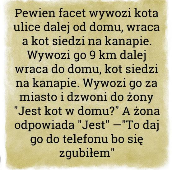 de3c5a05-8c49-4c96-b099-3f06d1d11a52