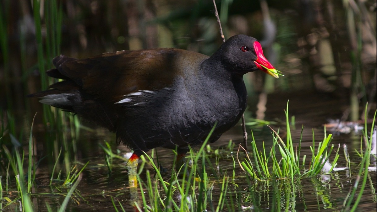 8bb3d9e1-820e-424f-9c76-ef8ccf23ed24