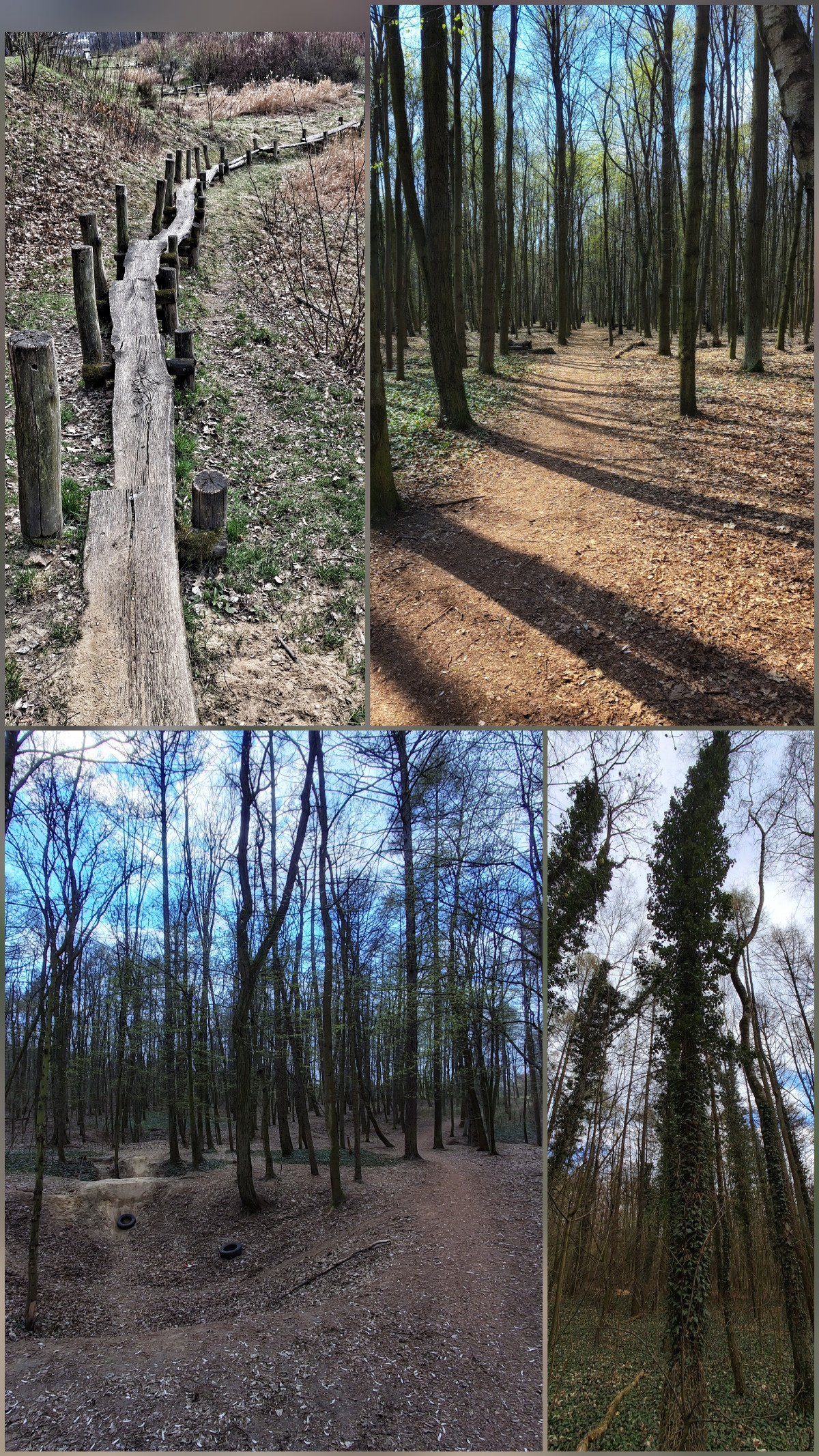 cdae6bb5-4240-4d25-90bc-16947d8951ca