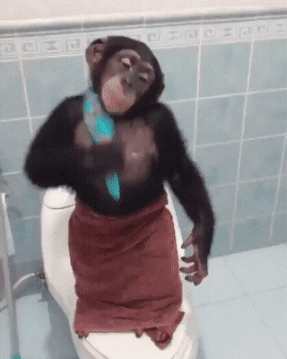 cc395fe4-80e4-4a40-8afc-e7b980bb81f8