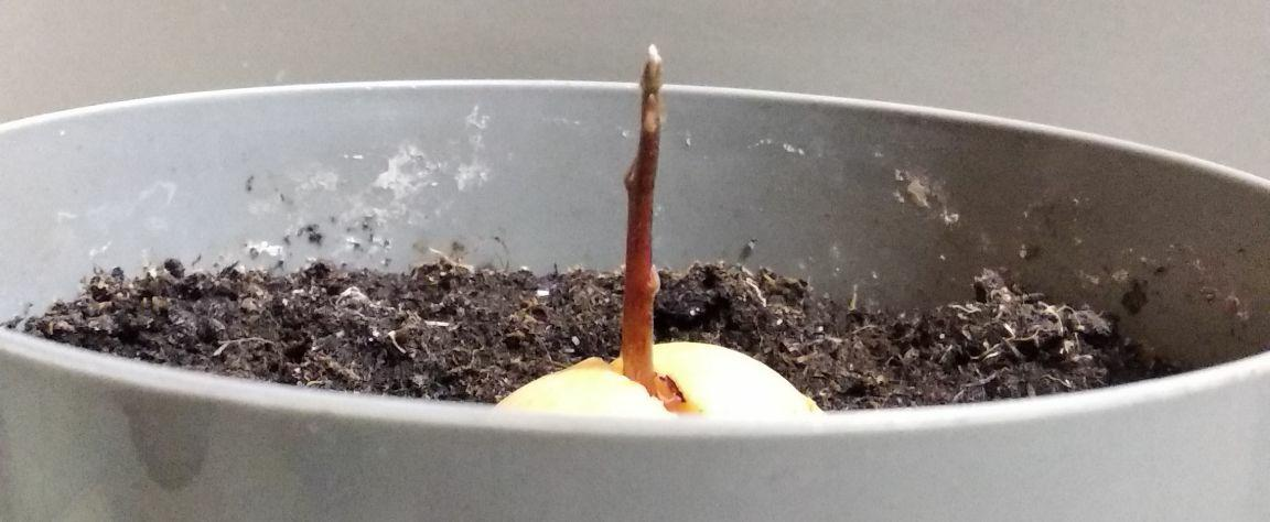 34bfcfdf-c8ca-4bd9-8f10-e395ada3699b