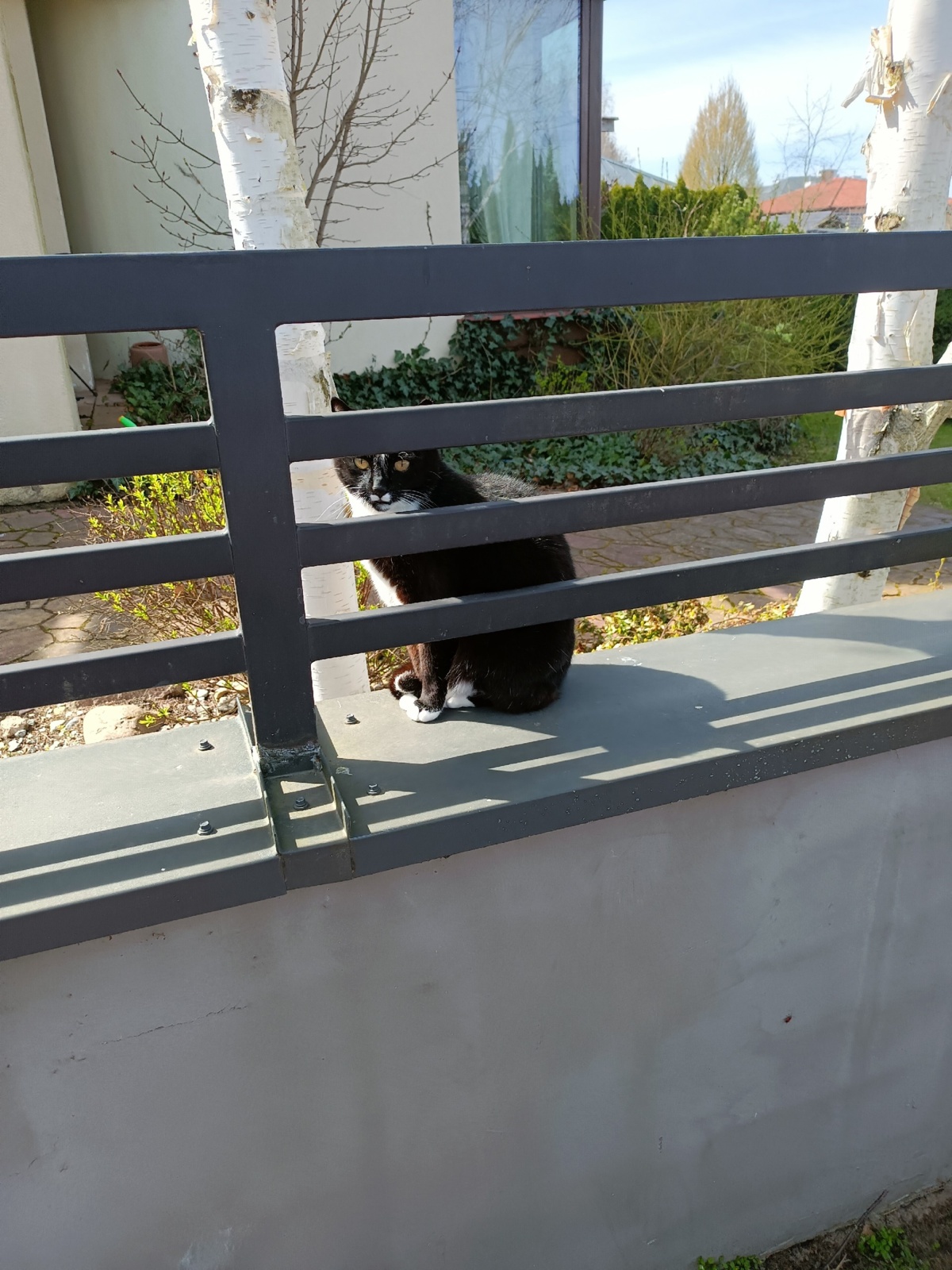 69493f26-1a25-4dc2-ac66-a29585d899bc