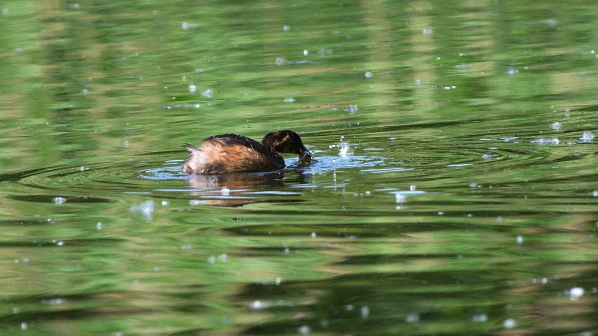 880a7d23-a0f3-4a5b-8307-88e3cde8edfc