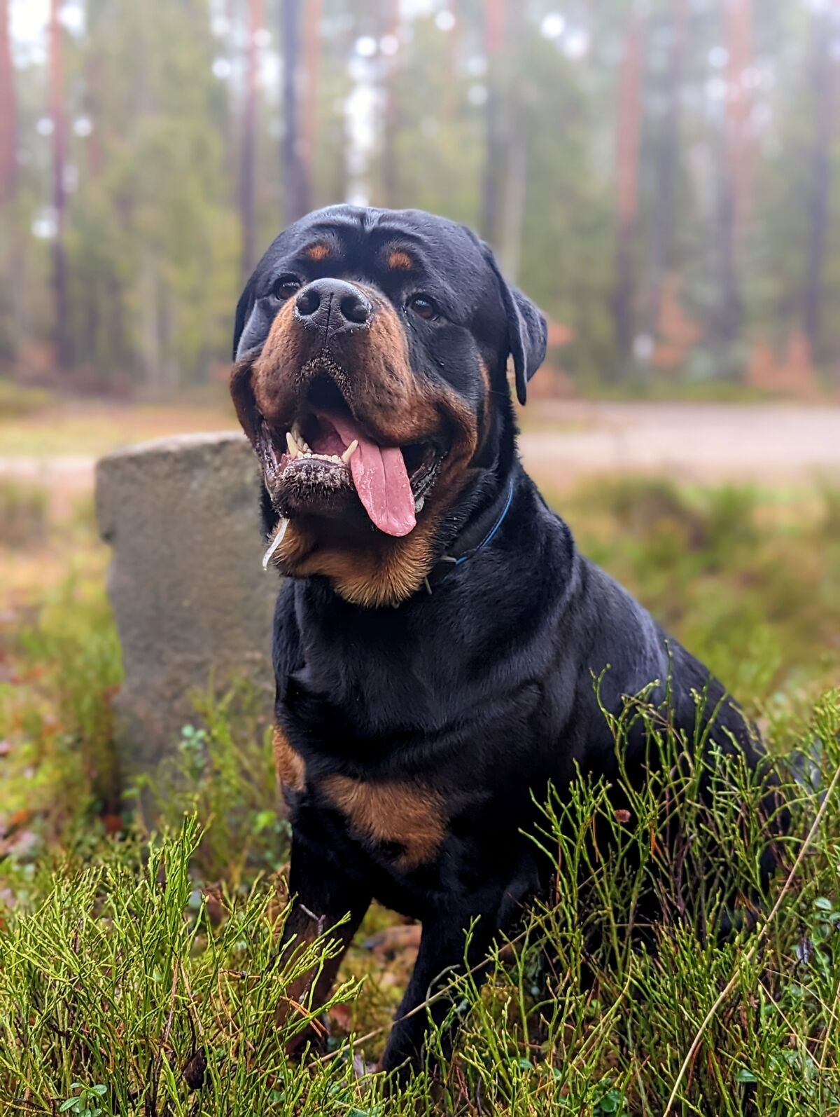 31ac81cd-85b7-4f25-84ad-e4daf9dc36c9