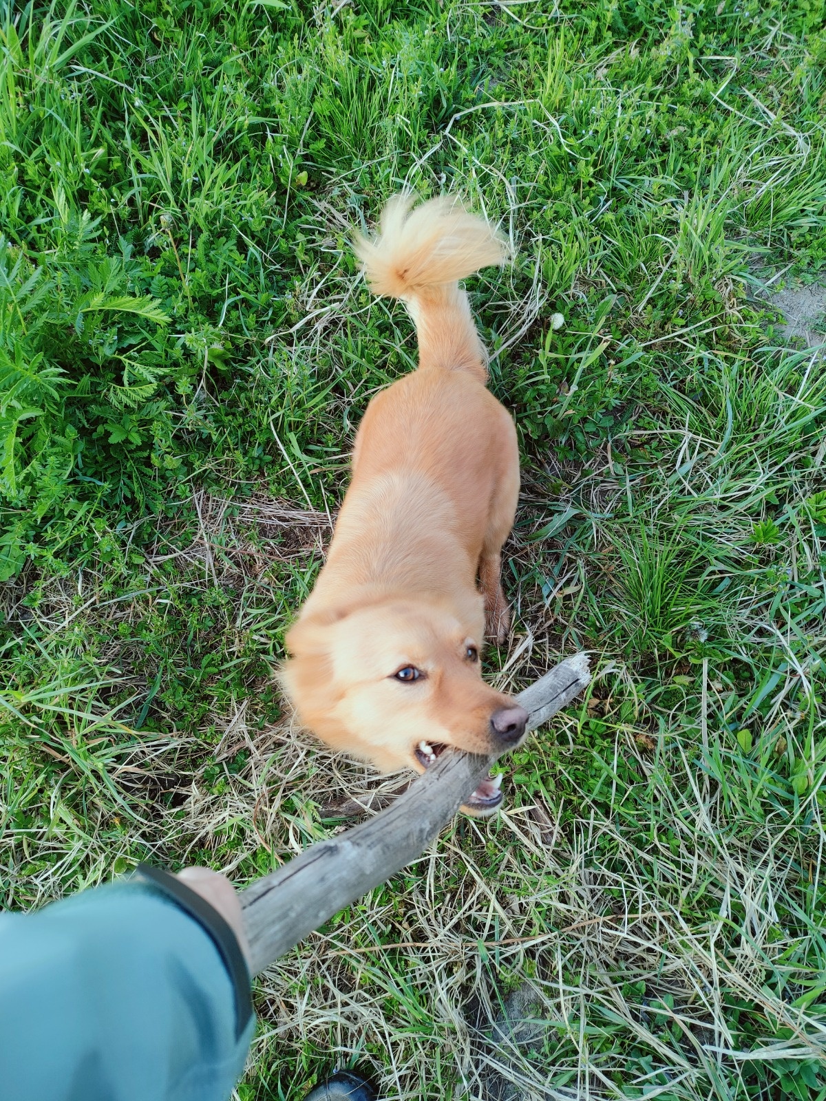 808f09cb-0d17-401d-ae61-523f02eab917