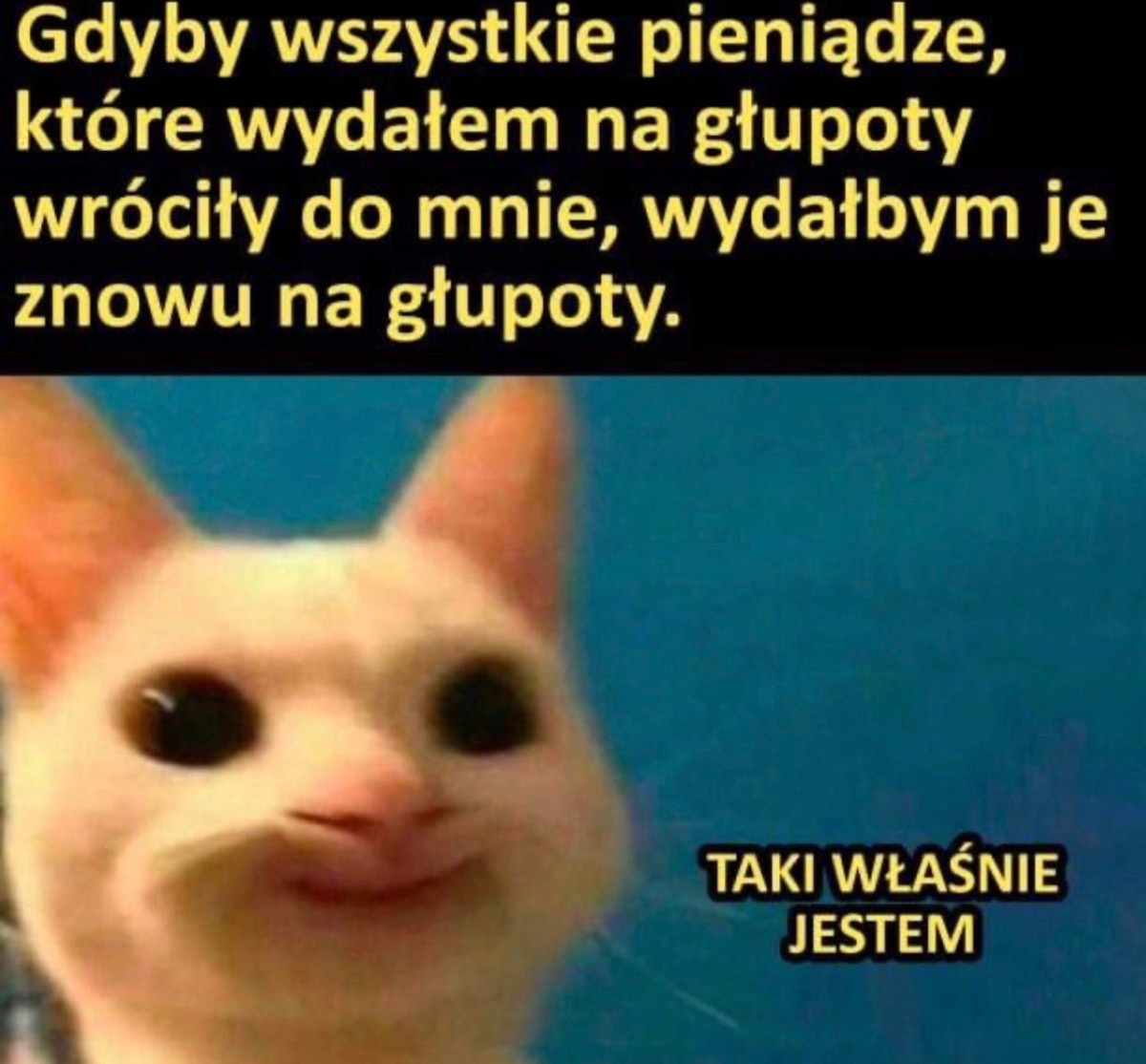 6420440a-98da-4aee-952b-52186fc647b6