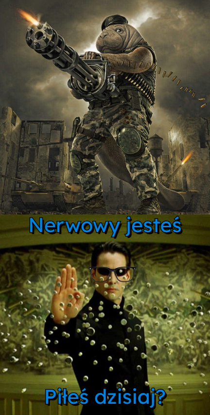 7c7a729a-45fa-4add-8797-ce87eed1ed8e