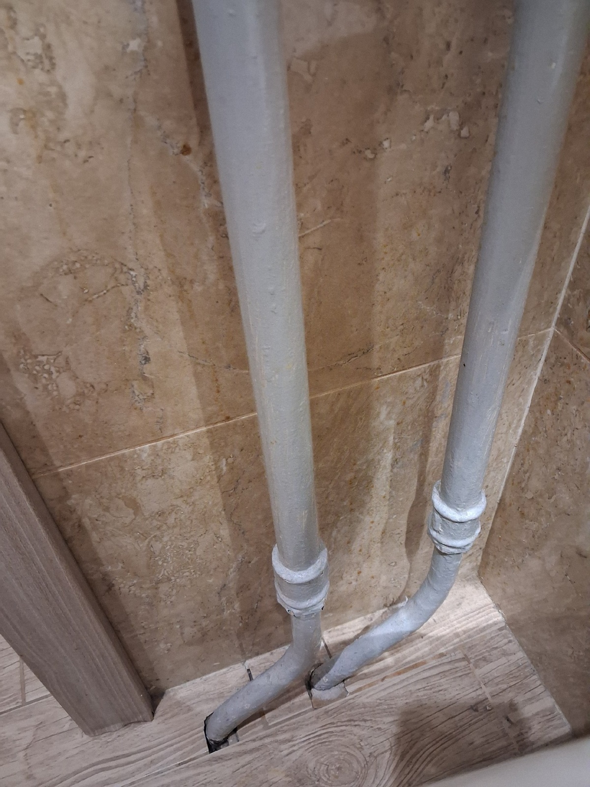 ff6d4dd5-2e88-4a4e-a02c-02bb44ad494b