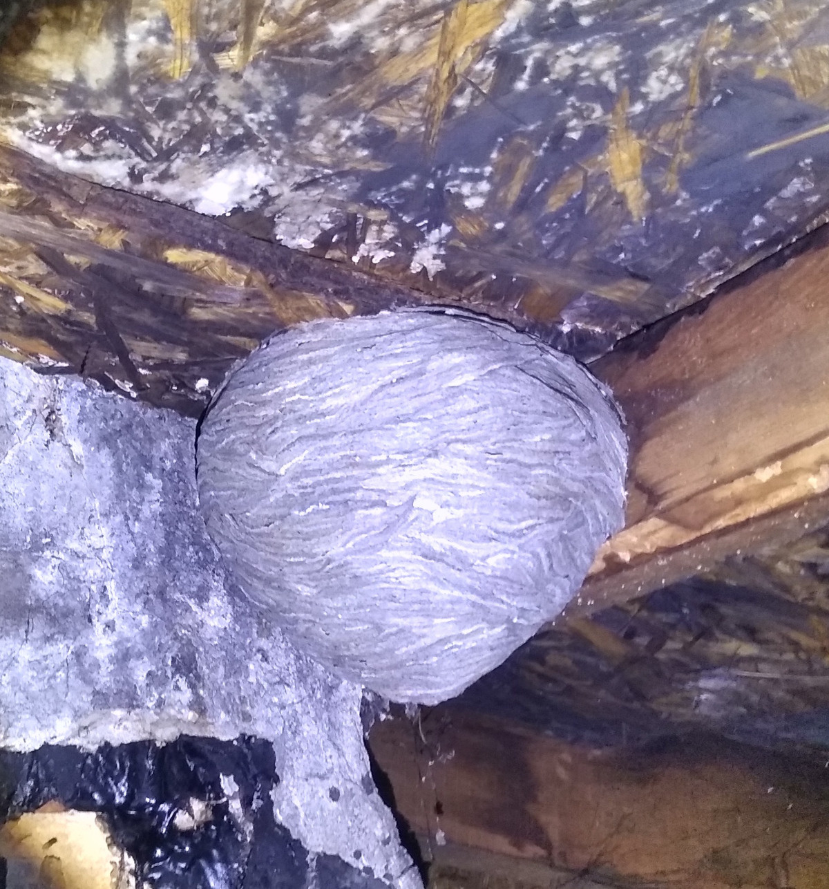 6a4b9d06-fe0a-423c-8000-6fcaa9bea8dd