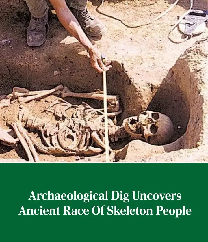 b5ab09cd-15f4-48b4-8c39-c4446765b258