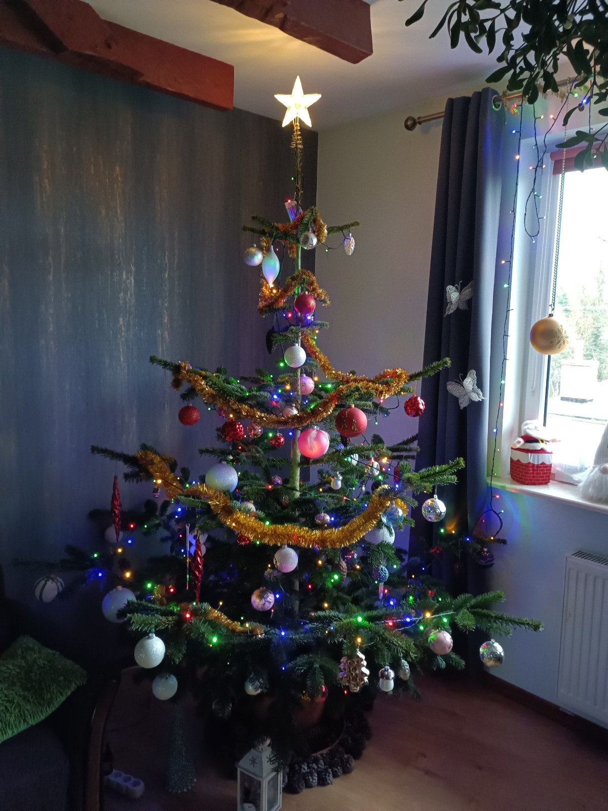 ed05ba6c-f520-4e6d-aadb-f3b006ad063c