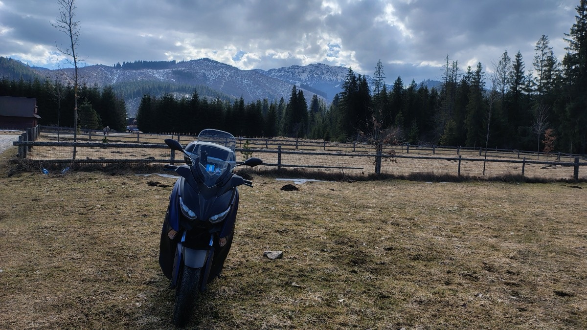 95320402-5e8c-4ead-a9c4-5899ea769d35