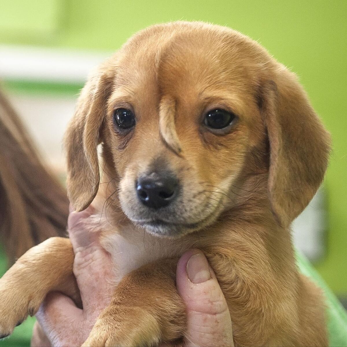 3197f8fb-5d79-483a-98c0-2c866ed3e186