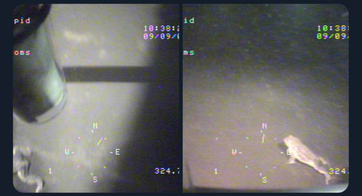 6cab0f25-9b54-411c-ad58-3494a7c6036c