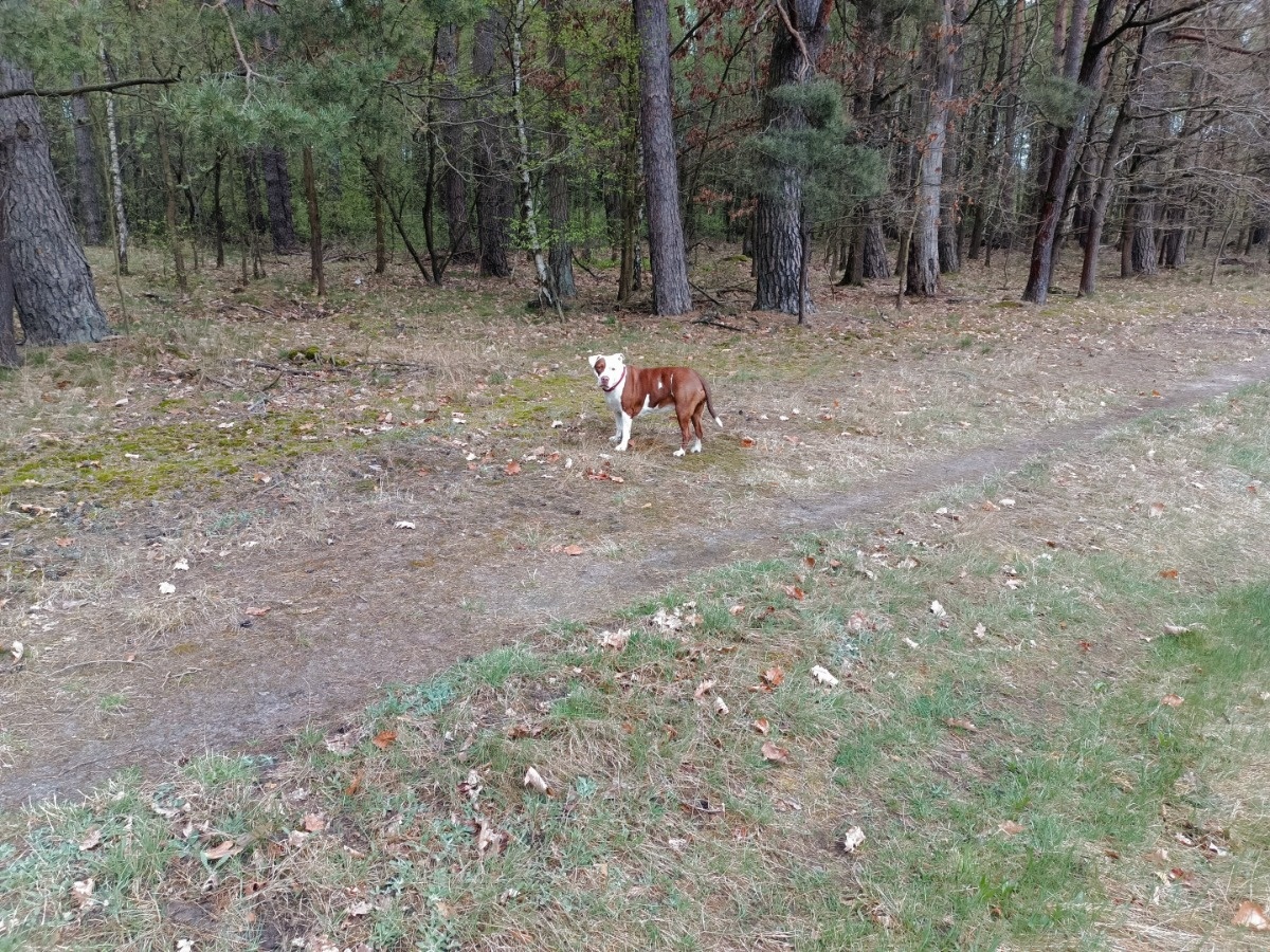 5d704402-dc7d-4795-b99b-035f799360b5