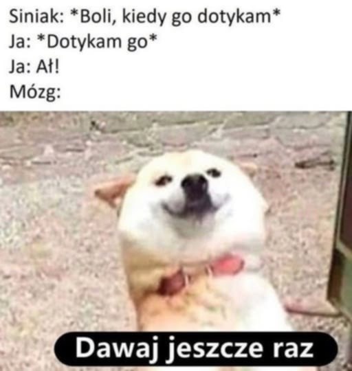 220d0844-40d6-4df0-9b2b-ac4ce1624a4e