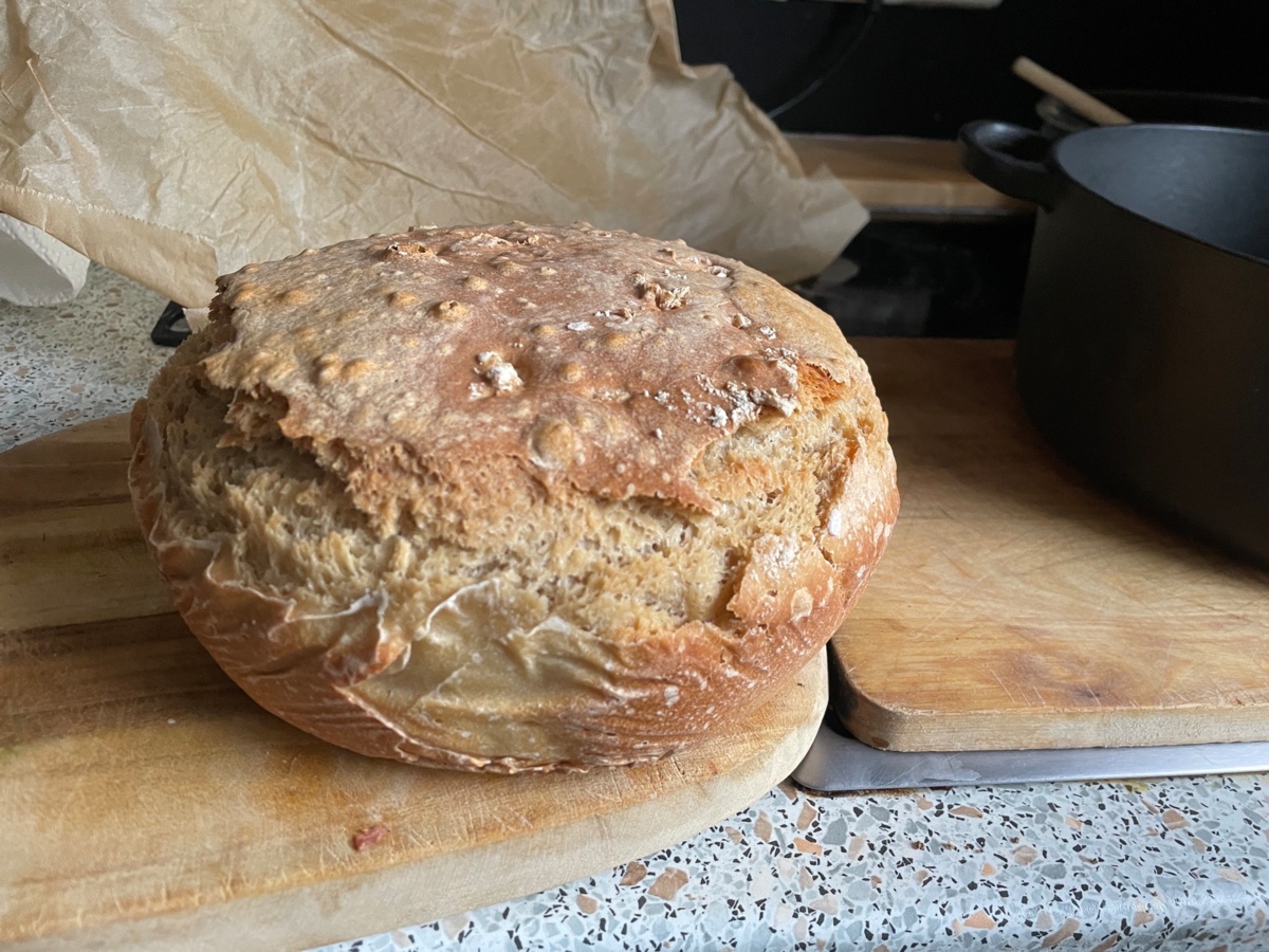 2691f363-1d73-4cf7-b3d1-98d660a45953