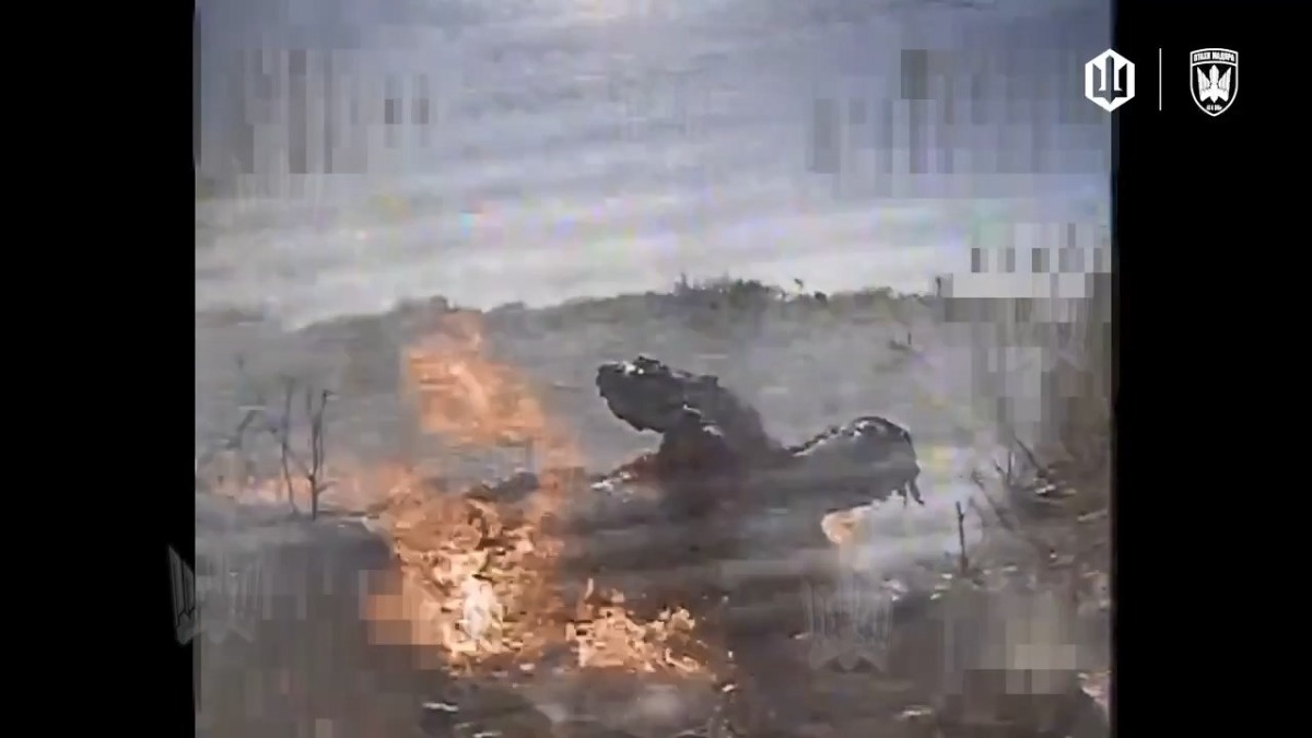 af3bb4a6-79d0-4b45-b2f2-c51f1204b72b