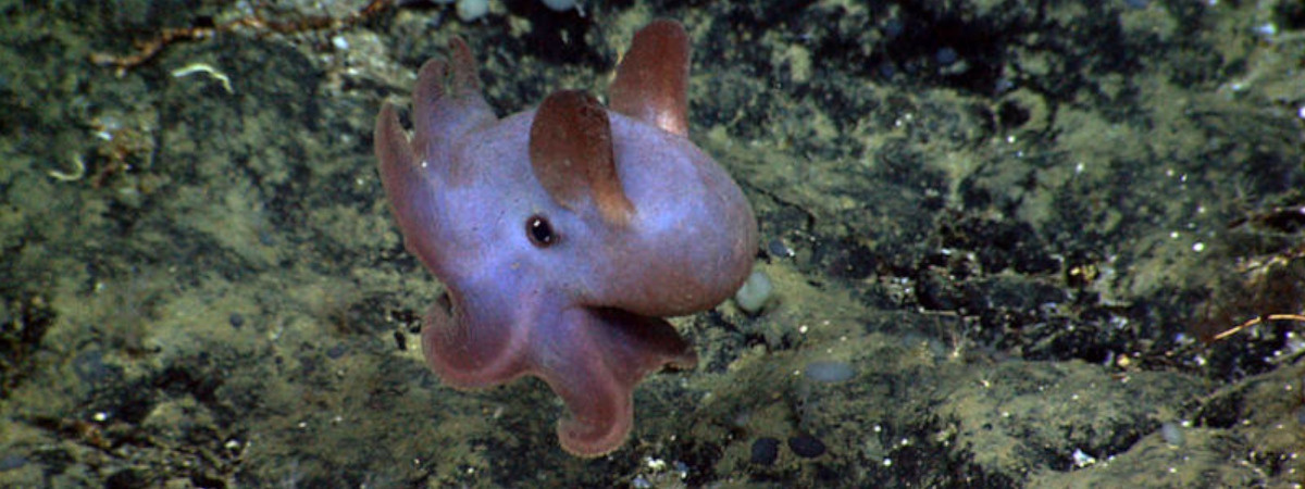 c84bbc12-b32f-405f-a320-70e3c822c56d