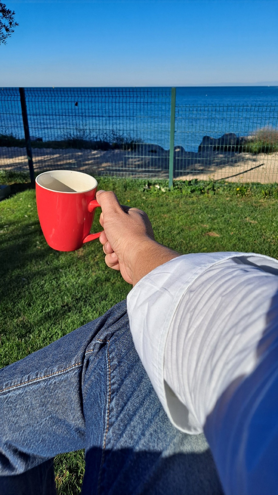 14a9b797-f795-4199-9886-62c002c7af01