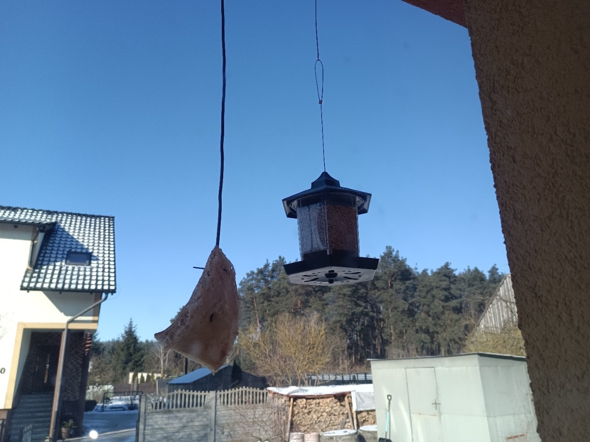 5ff55986-055e-4efc-9d21-28af20f1cccf